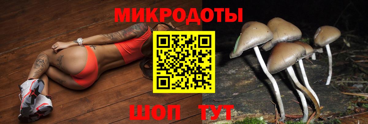 Псилоцибиновые грибы Magic Shrooms  Галлюциногенные грибы Magic Shrooms  как найти   Вход с VPN  Фрязино 